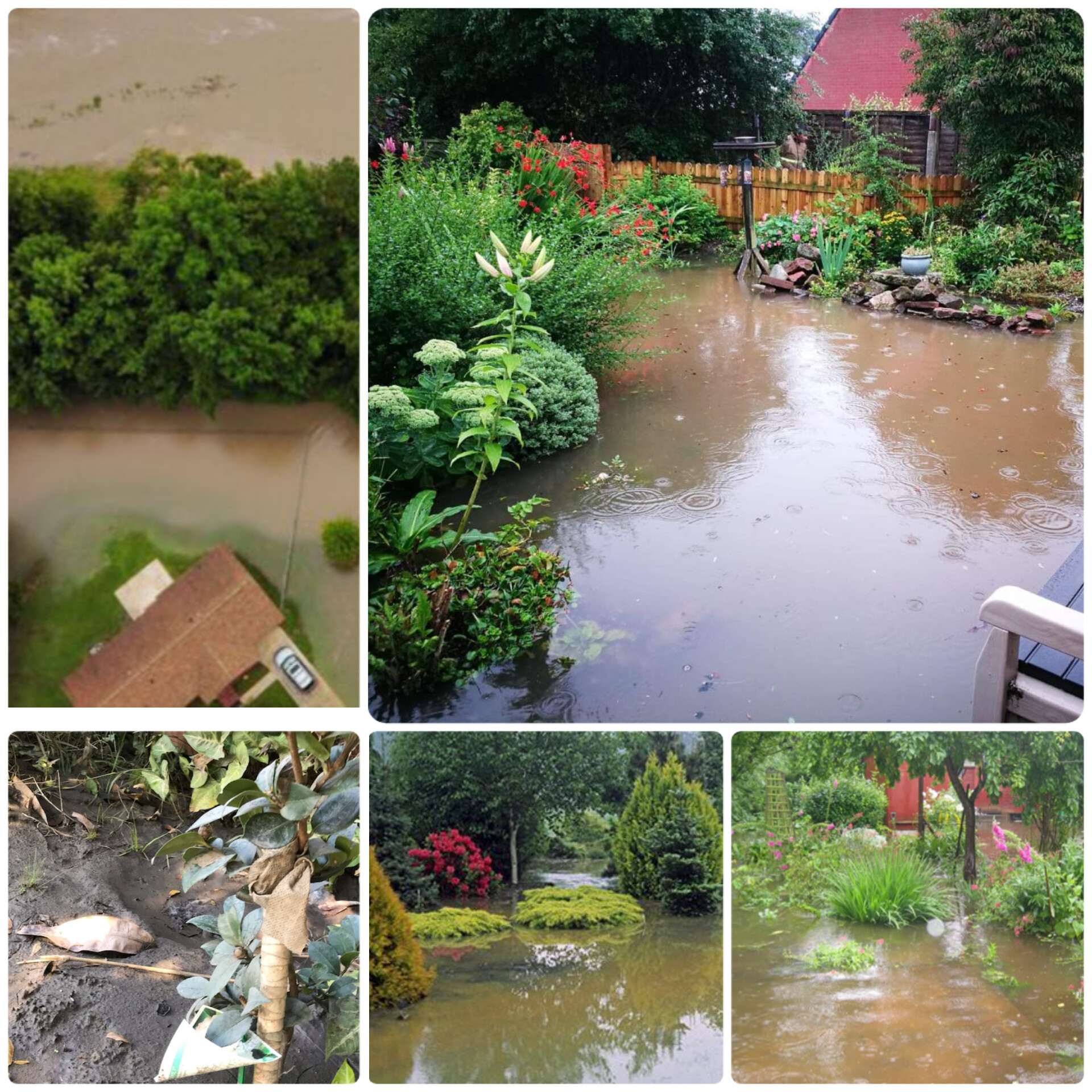 You are currently viewing How to reset the garden after flood