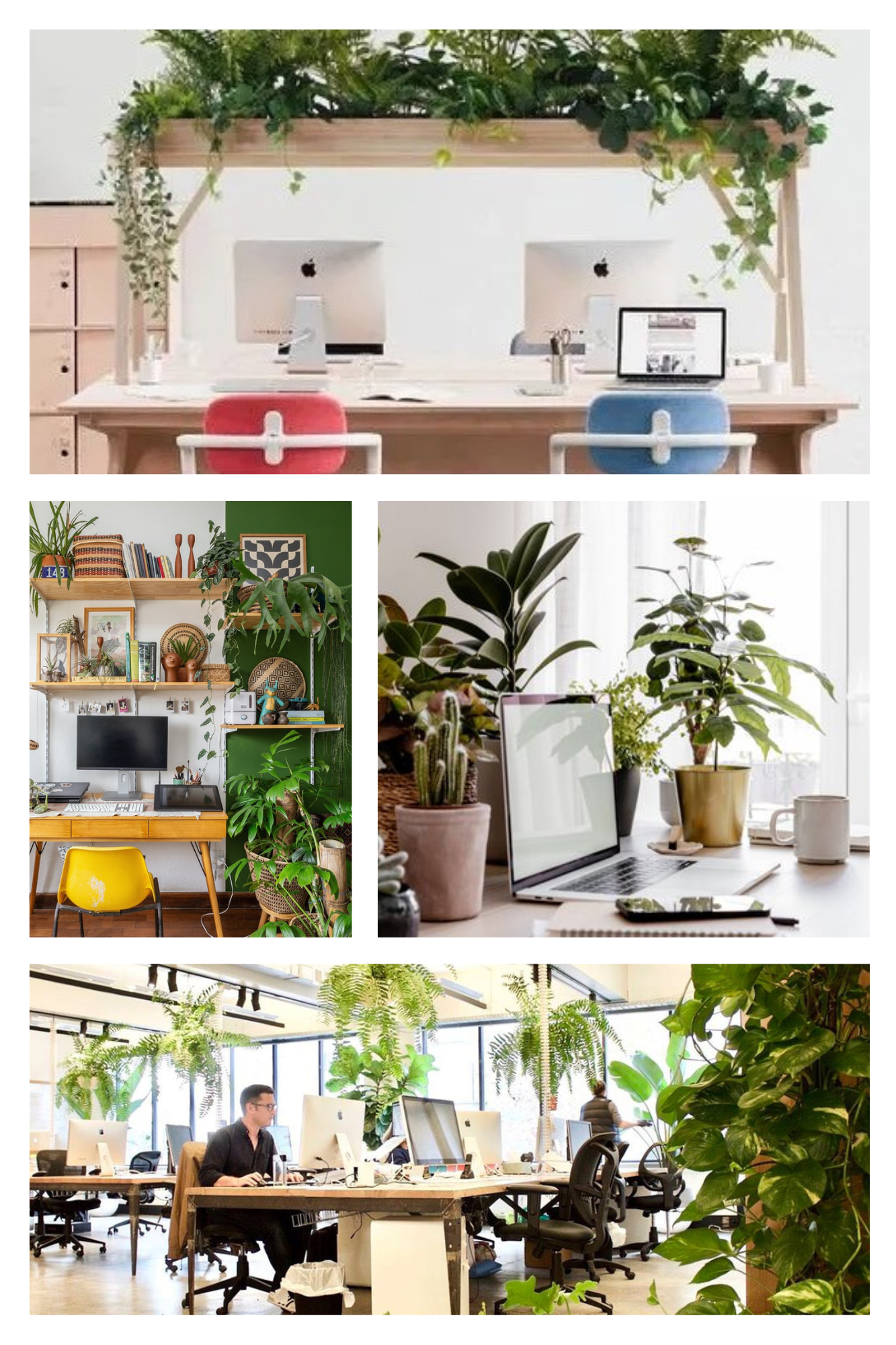You are currently viewing Bringing the Garden Indoors: Creating an Indoor Workstation Oasis